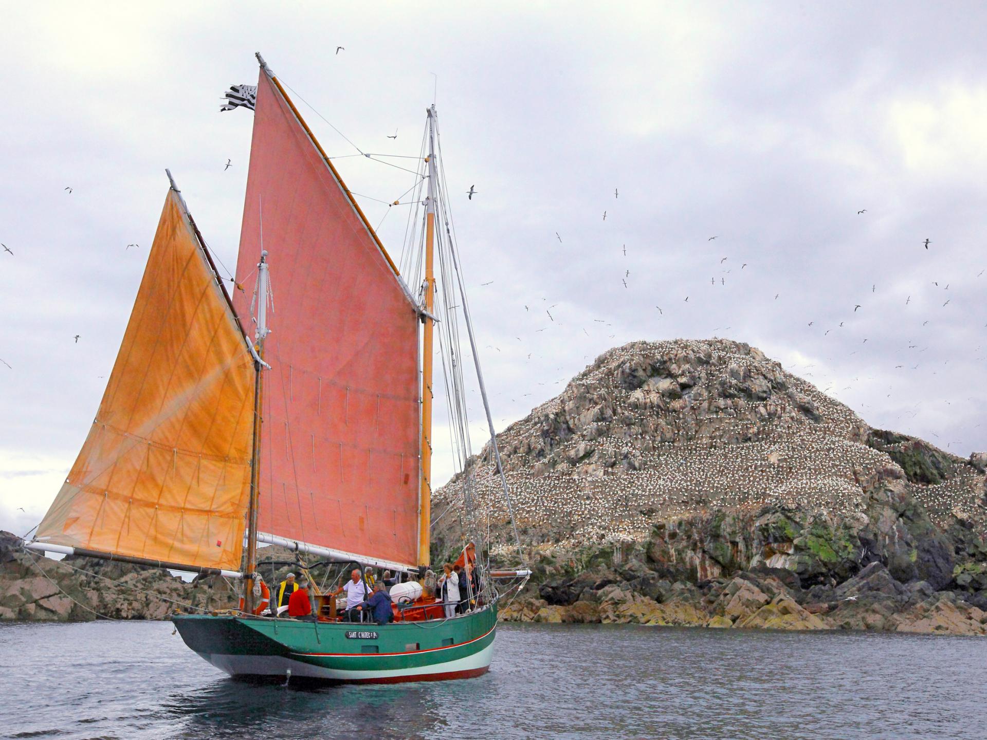 Cap Sur Les Sept Iles Bord Dun Vieux Gr Ement Tourisme Bretagne