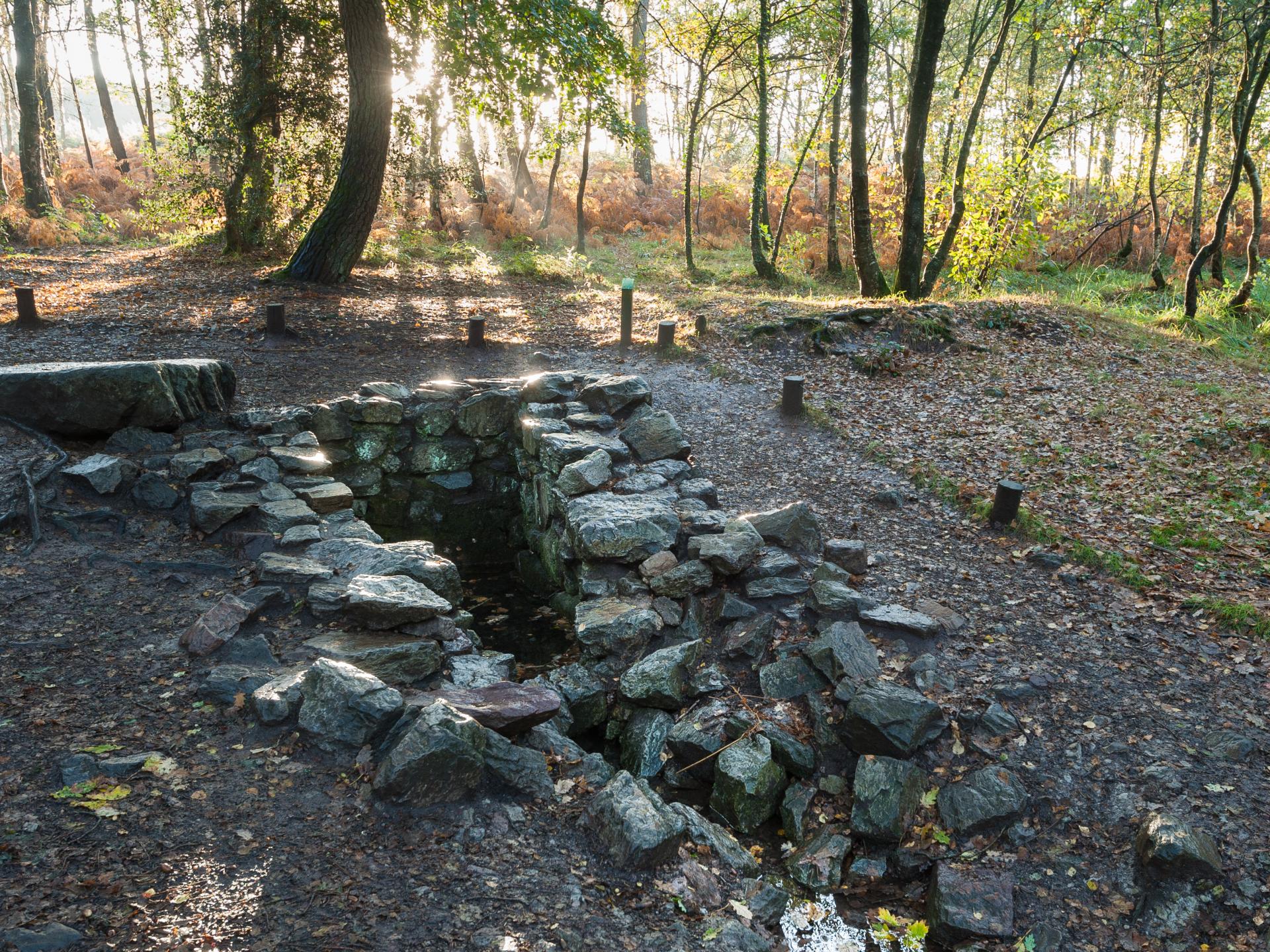 Brocéliande Forest | Brittany tourism