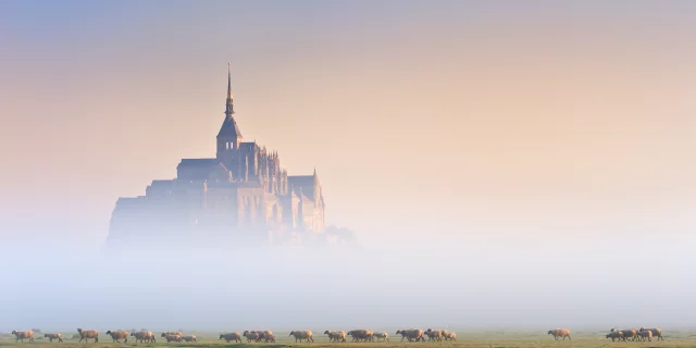 Le Mont St Michel dans la brume du matin