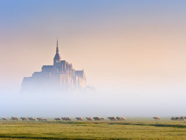 Le Mont St Michel dans la brume du matin