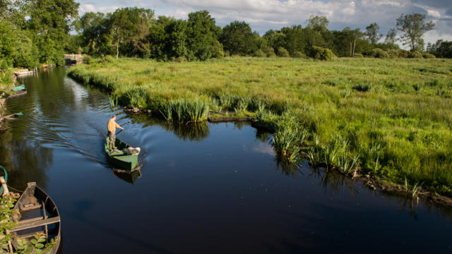 Balade sur l'eau en barque au parc de Brière