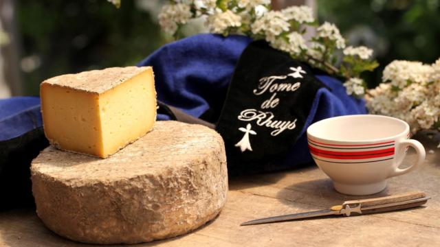 tome-de-rhuys-ferme-fromagere-suscino.jpg