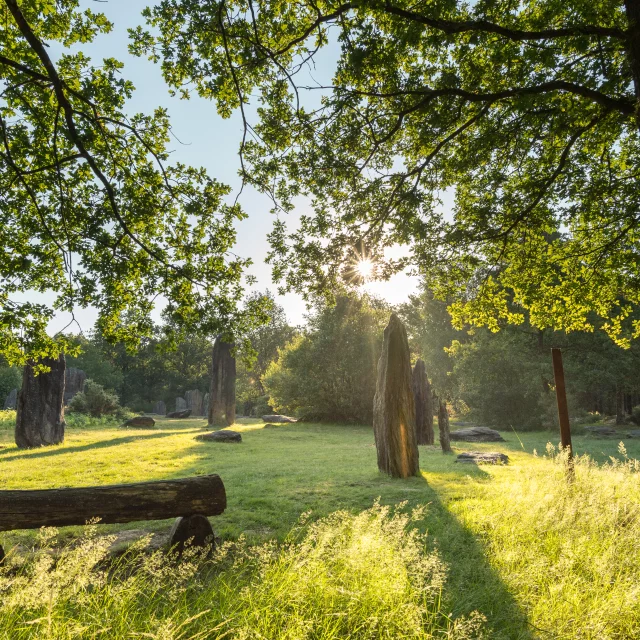 Monteneuf - Menhirs au lever du jour