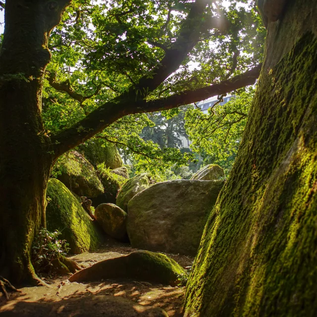 Forêt de Huelgoat