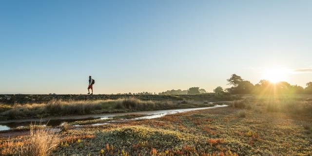 golfe-du-morbihan-ile-darz--randonnee-emmanuel-berthier.jpg