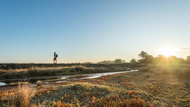 Golfe du Morbihan - Ile d'Arz - Randonnée