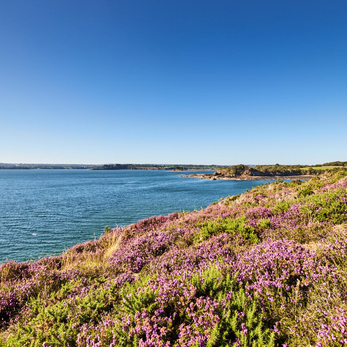 Camaret-sur-mer Et Crozon | Tourisme Bretagne