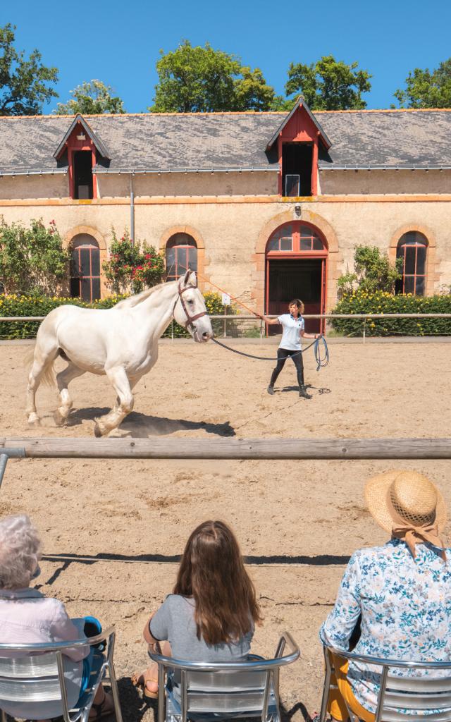 Hennebont - haras