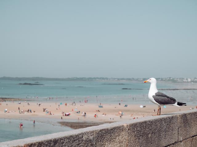 Saint-Malo-Saint-Malo-5-baja.jpg