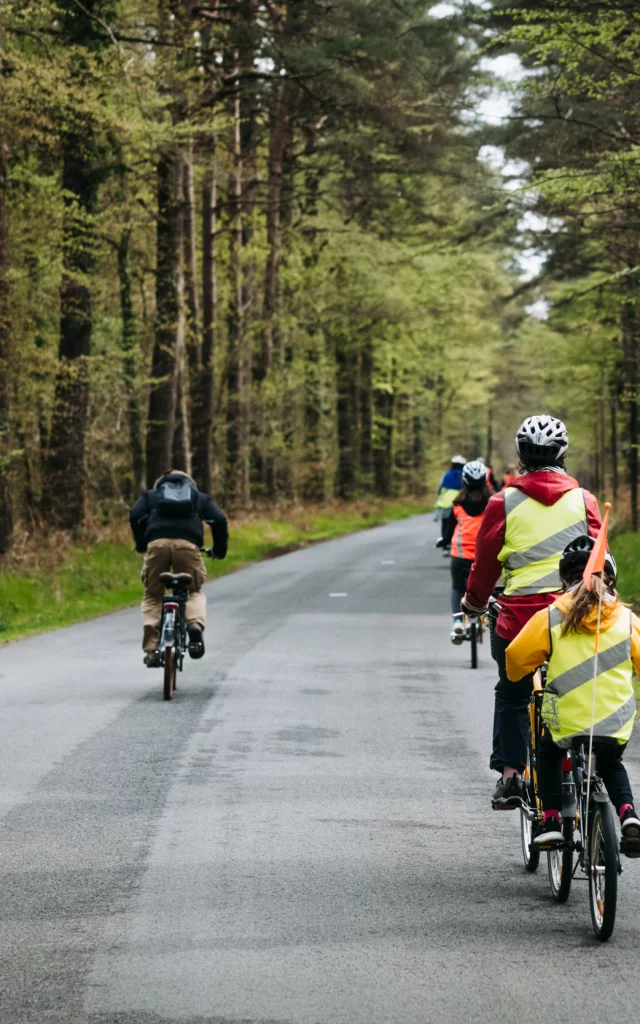 Expérience Bretonne - Brocéliande Bike Tour