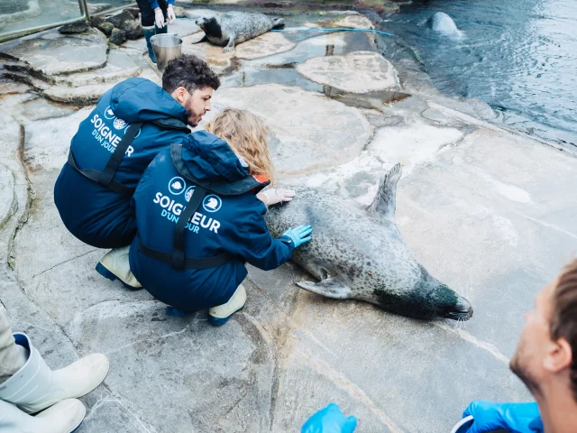 Oceanopolis Tourisme Bretagne Nicolas Dequin 074ok