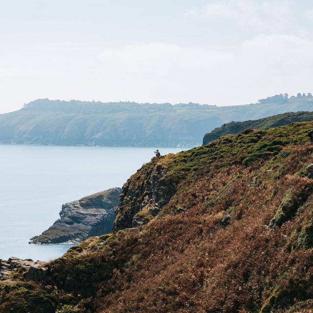 Cap Fréhel