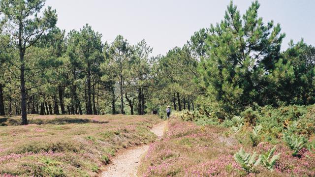 Presqu'île de Crozon - Gr 34