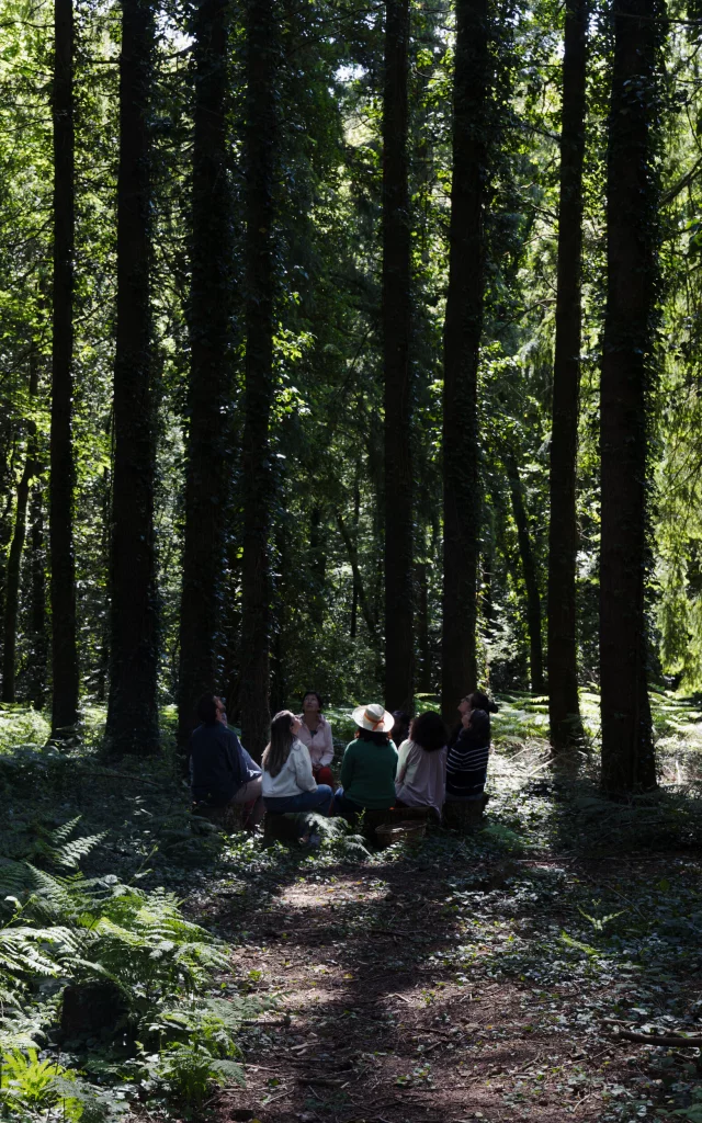 Persquen - Expérience Bretonne Forêt Totem