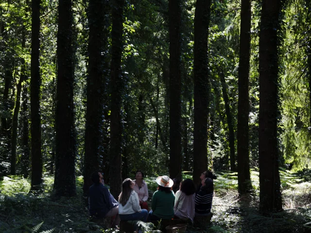 Persquen - Expérience Bretonne Forêt Totem