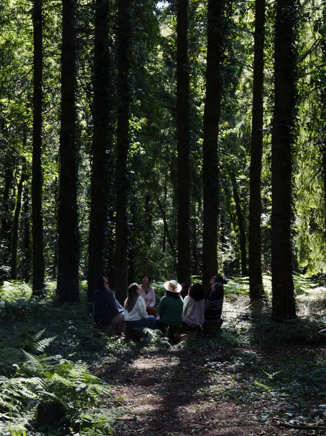 Persquen - Expérience Bretonne Forêt Totem