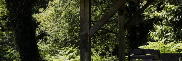 Persquen - Expérience Bretonne Forêt Totem