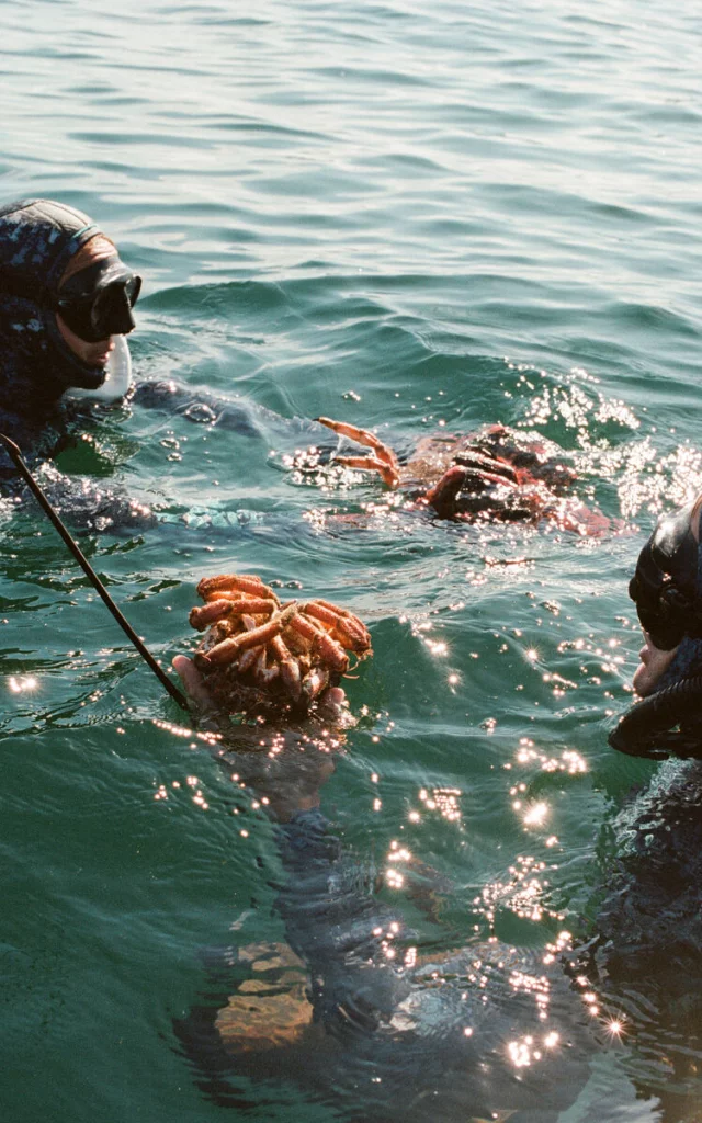 Plongee sous marine, Ecole d'apnee Liquide